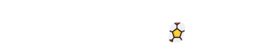 zflip 4