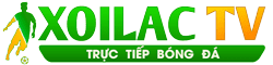 zflip 4